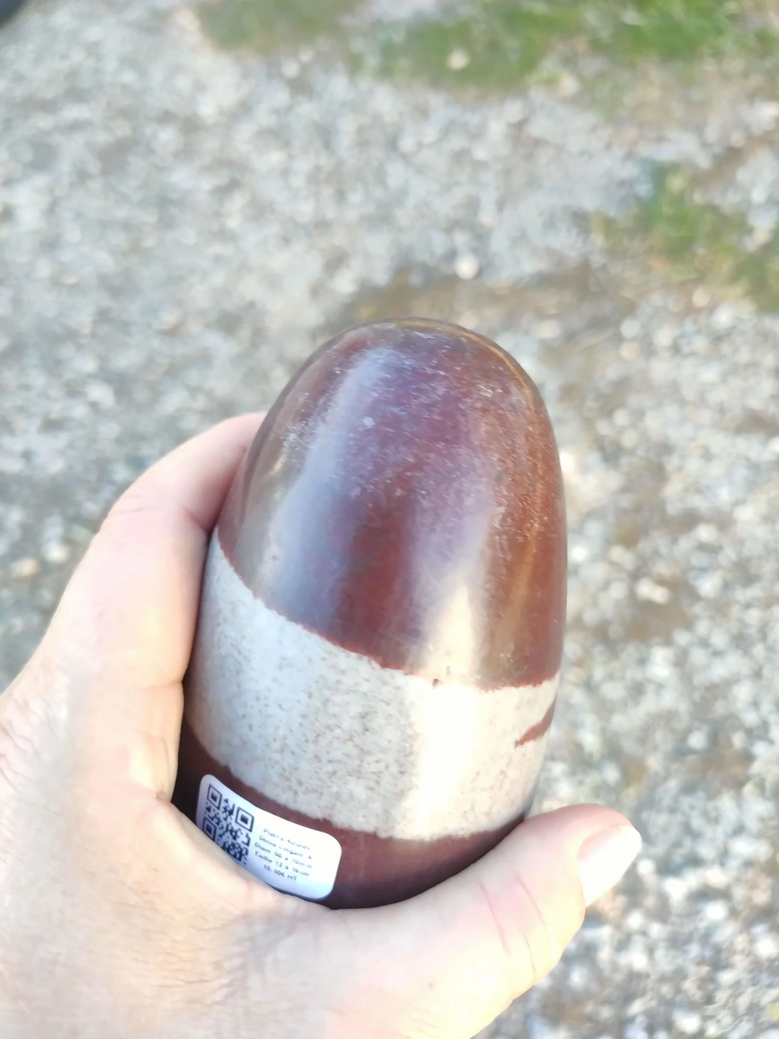 Un œuf shiva lingam – photo 3